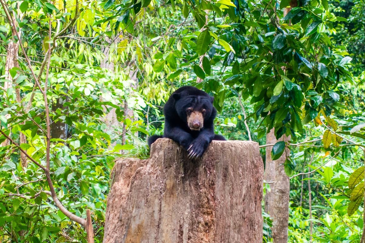 Terms and conditions hero