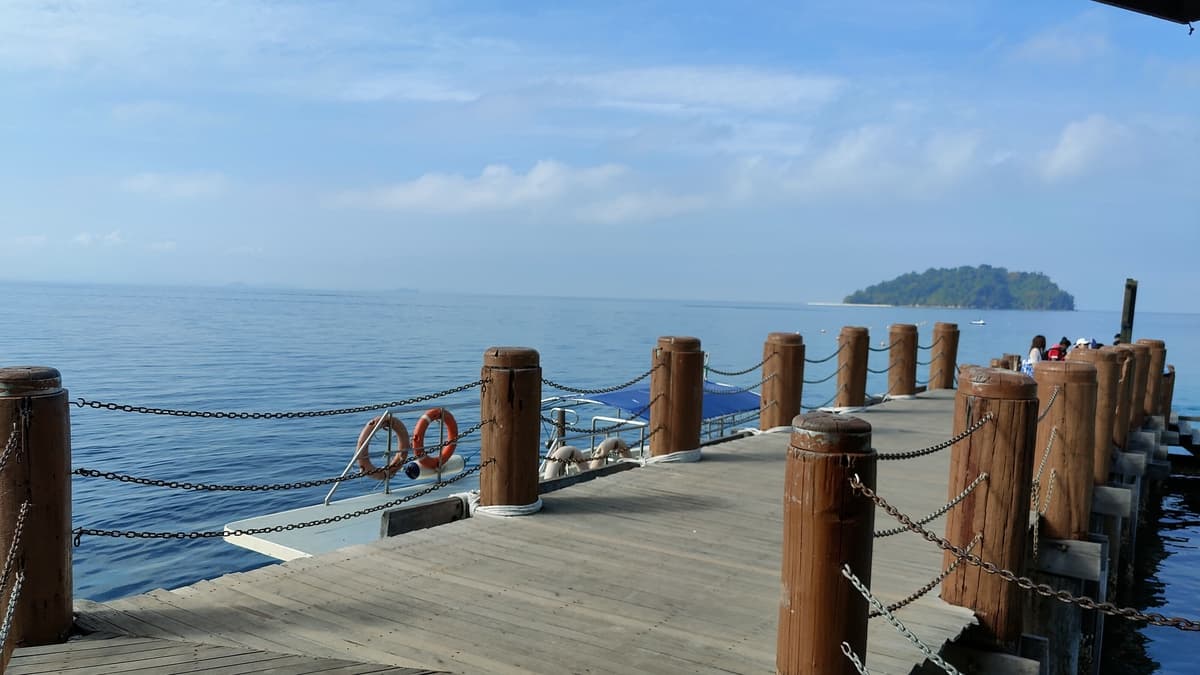 Contact Aeropod Tours