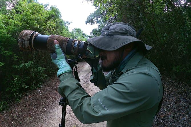 Birding