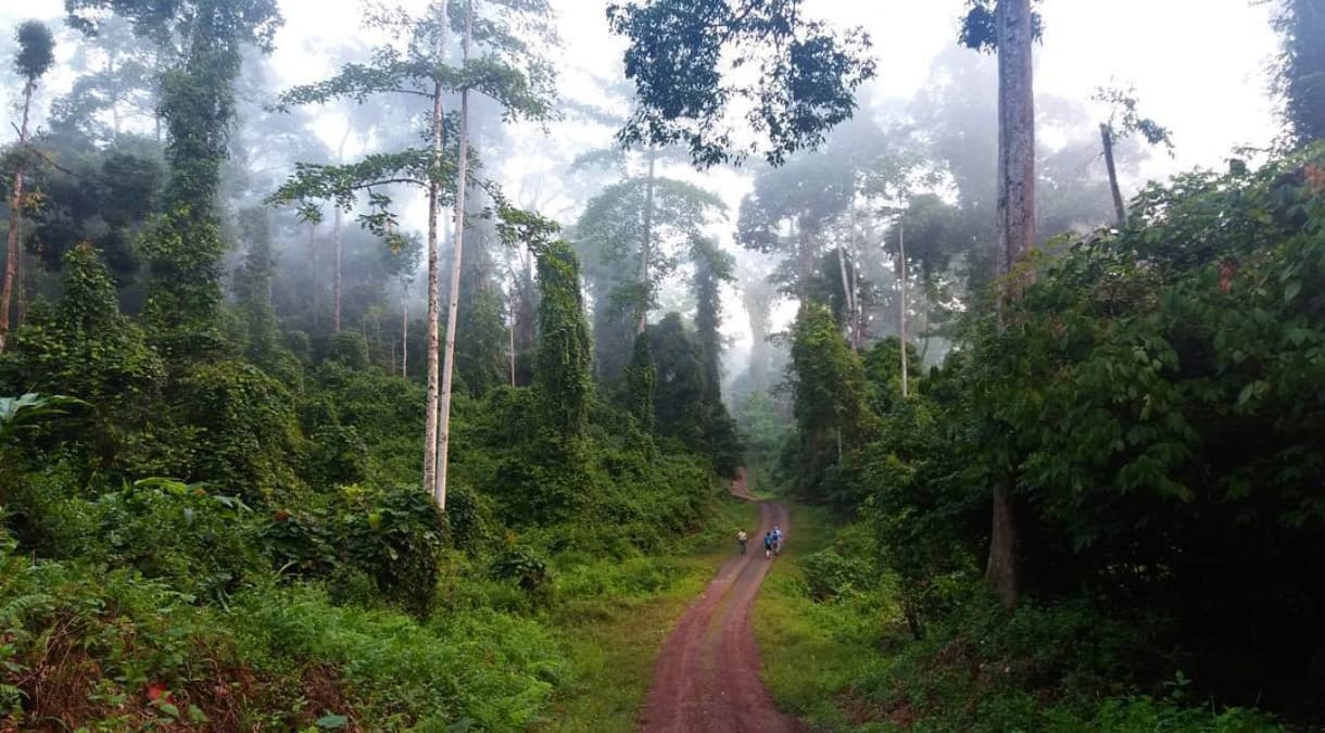 Trekking Tours