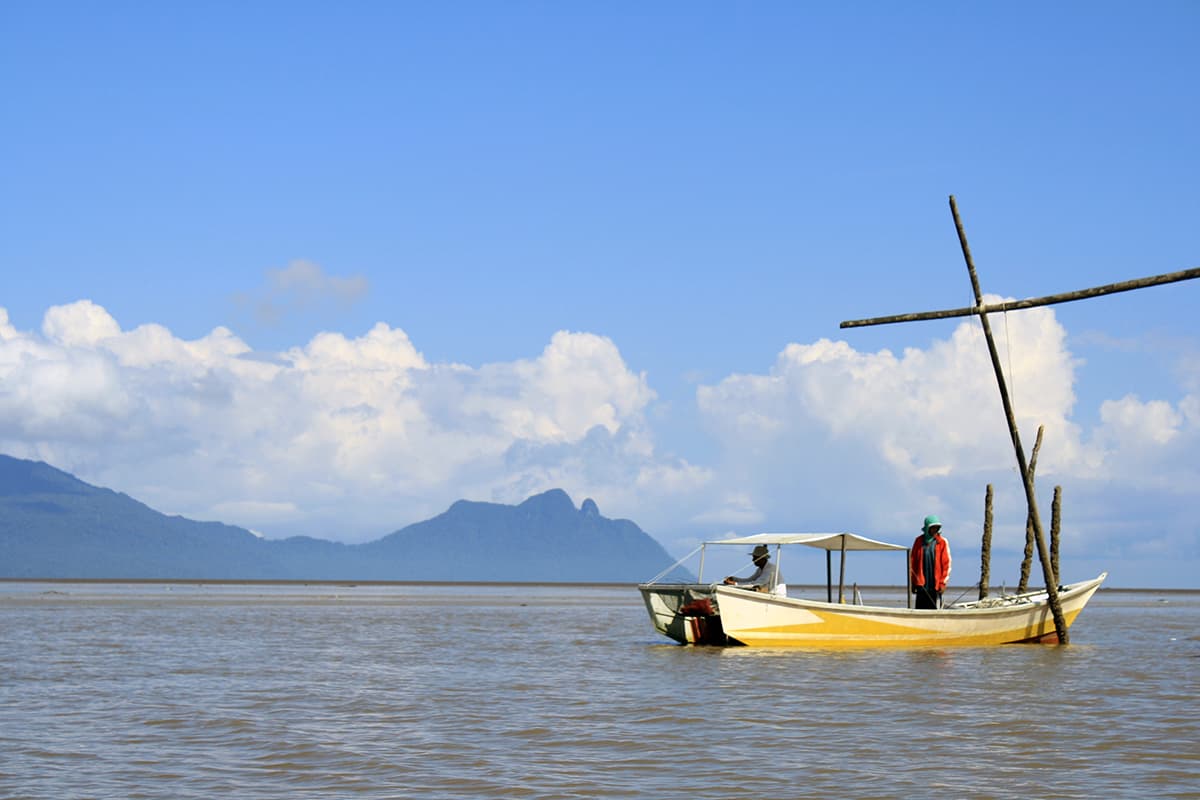 Kuching Discovery